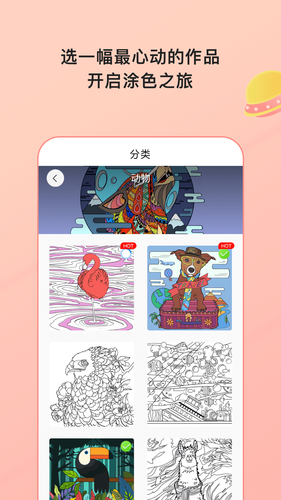Paint数字填色软件封面