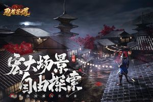 忍者荣耀软件封面
