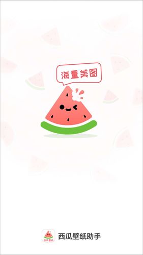 西瓜壁纸助手软件封面