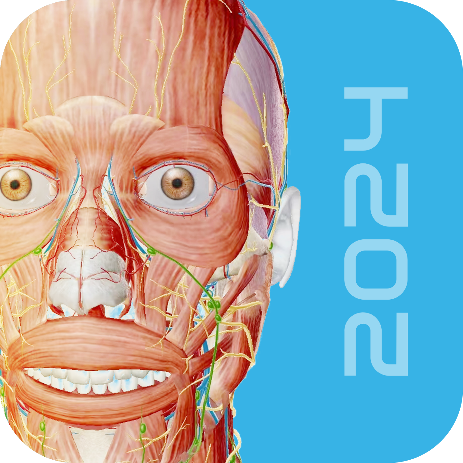 人体解剖学图谱 v1.0.1 安卓APP