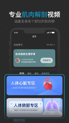 3D肌肉解剖第1张手机截图