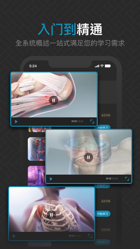 3D肌肉解剖第2张手机截图