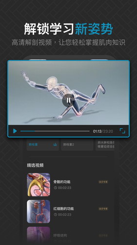 3D肌肉解剖第3张手机截图
