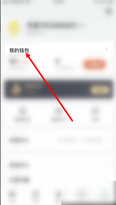 677c52cfc3608.png