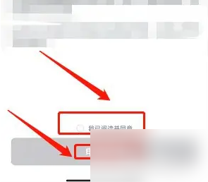 677c52de231a5.png