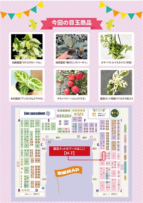 花友cdn是什么