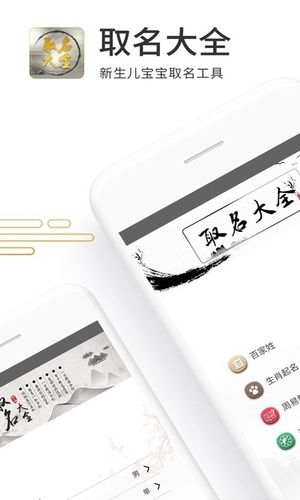取名大全软件封面