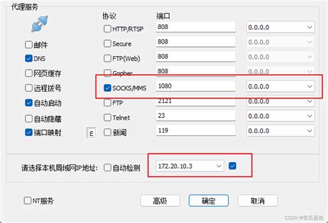 如何为服务器上的特定程序指定多网卡