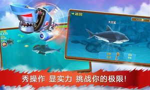 饥饿鲨:进化-全球同步软件封面