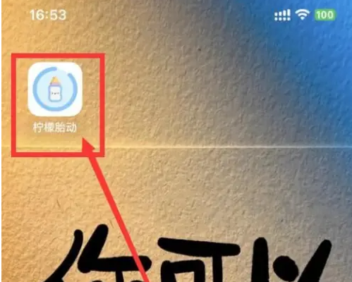 柠檬胎动app怎么使用柠檬胎动app使用胎动计数方法