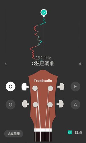 尤克里里调音器软件封面