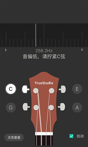 尤克里里调音器软件封面