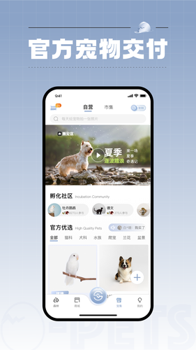 集宠区软件封面