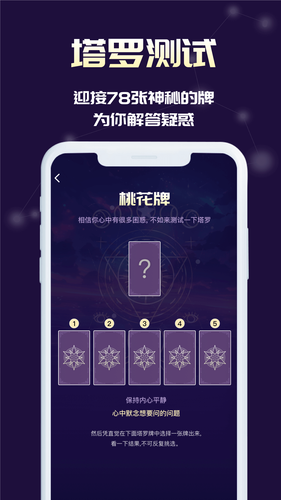 MAX塔罗牌软件封面