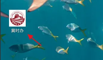 678e8f5b8981b.png