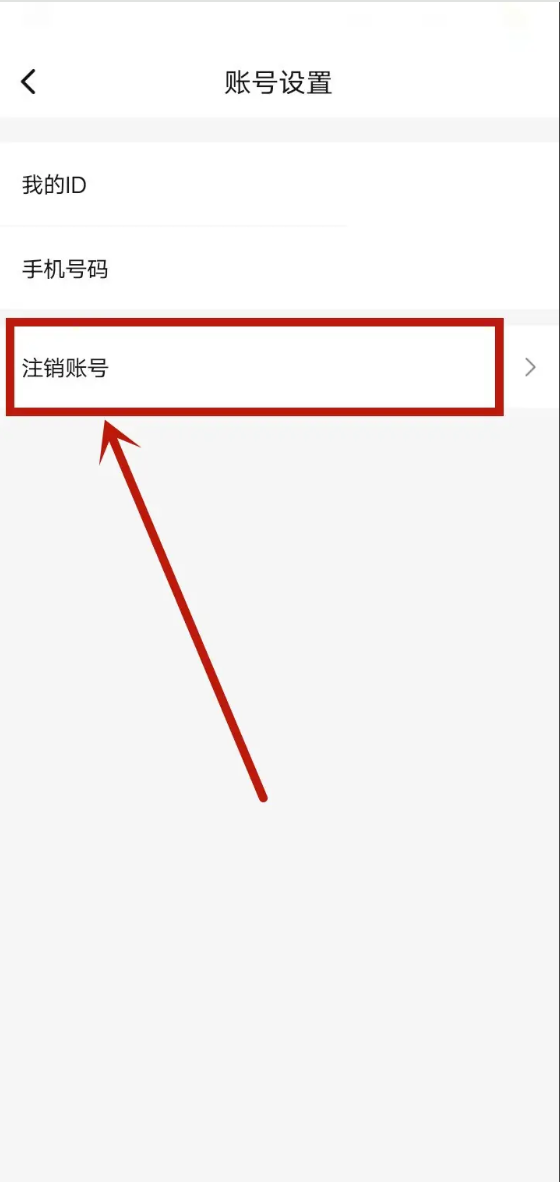 67916ad5997c5.png