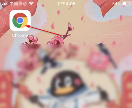 6793d532632a9.png