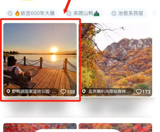 67a682753a265.png