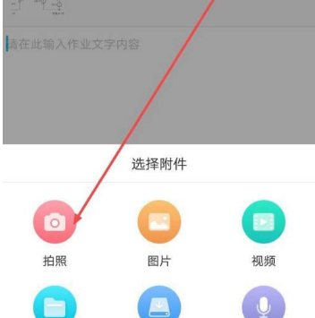 67a72b336e4a1.png