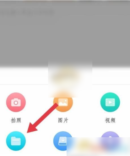 67a76370df849.png