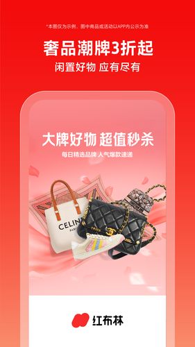 红布林软件封面