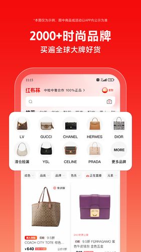红布林软件封面