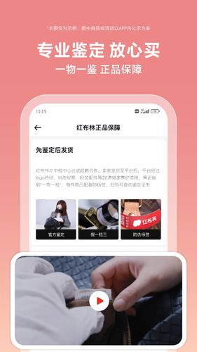 红布林软件封面