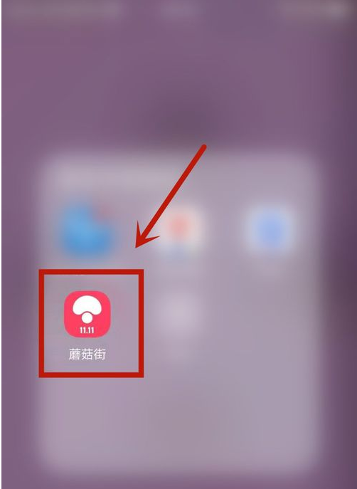 67ae332f8da0f.png