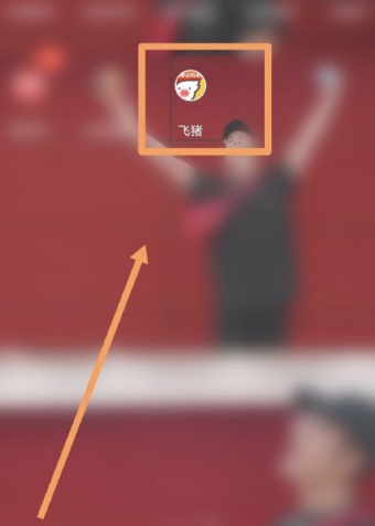 67ae33359d144.png