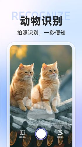 拍照识别动物软件封面