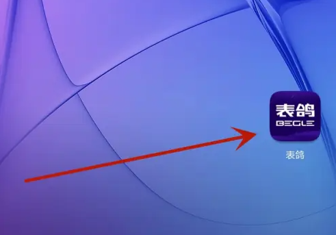 表鸽app在哪投诉表鸽提交投诉建议方法