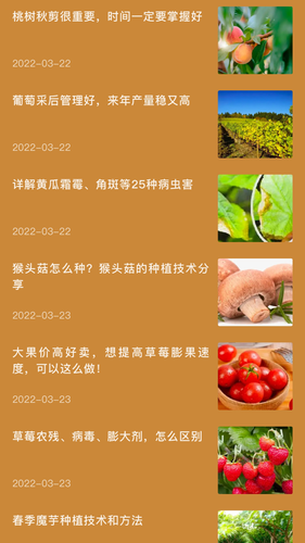 田园小院子软件封面