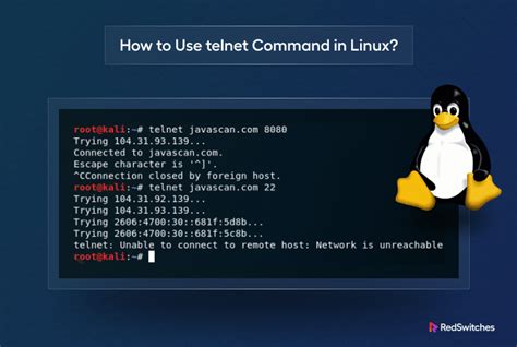 telnet查看端口状态linux