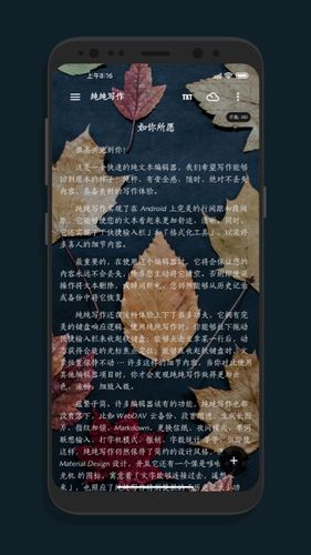 纯纯写作软件封面