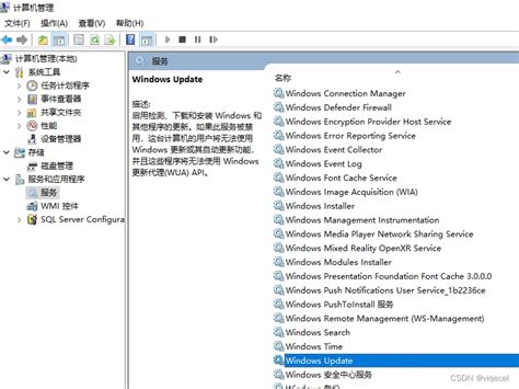 彻底禁止win10自动更新-禁止win10自动更新显卡驱动