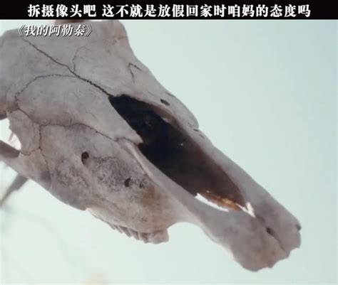 同一个ppt怎么设置两种主题切换