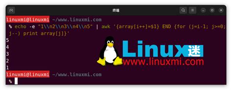 掌握Linux系统命令行快捷键，提高工作效率与操作速度的指南