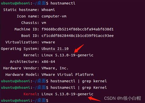 选择适合你的Linux系统版本：哪个版本最为好用