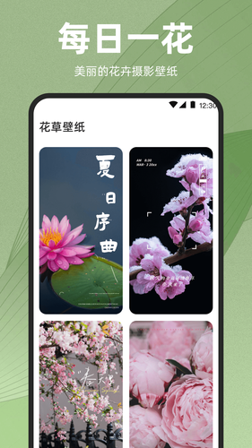 识花iPlant软件封面