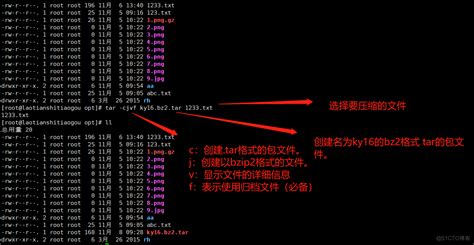 掌握Linux命令行技巧：如何快速进入指定文件夹的方法
