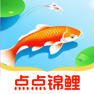 点点锦鲤 v1.0.1 安卓应用