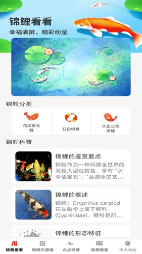 点点锦鲤软件封面