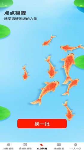 点点锦鲤软件封面