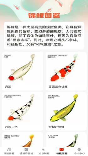 点点锦鲤软件封面