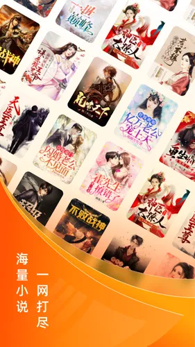 小说大全软件封面