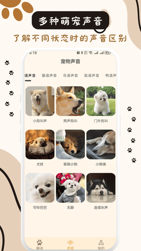 猫狗互动翻译第4张手机截图