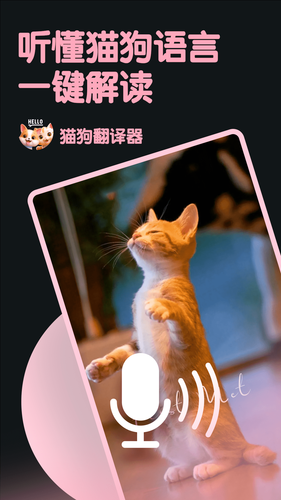 旺旺猫狗翻译器软件封面