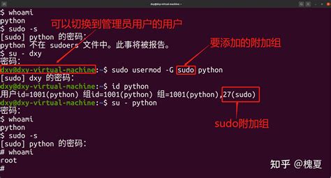 掌握Linux命令：如何轻松显示所有文件及其大小