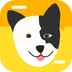 猫狗翻译神器 v1.0.1 安卓应用