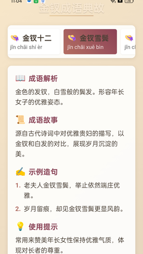 金钗成语软件封面